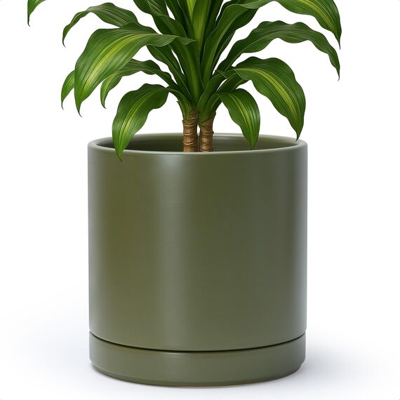 D'vine Dev 25,4 cm Keramik-Pflanztopf mit Ablaufloch und Untersetzer, Zylinder, runder Pflanztopf für den Innenbereich, Olivgrün, 94-O-E-J