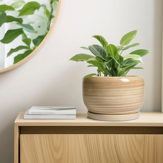 SQOWL Keramik-Blumentopf, 25,4 cm, großer Übertopf mit Ablaufloch und Untersetzer, runder moderner Übertopf für Zimmerpflanze, Outdoor, dekorativer Keramik-Blumentopf, Veranda-Dekor, Gartengeschenk