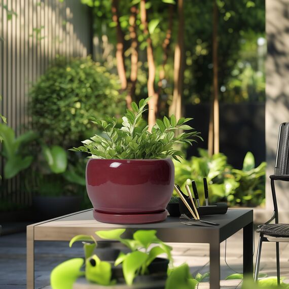 SQOWL Keramiktopf für Pflanzen – 25,4 cm Indoor-Pflanzgefäß mit Ablaufloch und Untersetzer, runder moderner Übertopf für den Außenbereich, dekorativer großer Blumentopf für Blume, Wohnzimmerdekoration