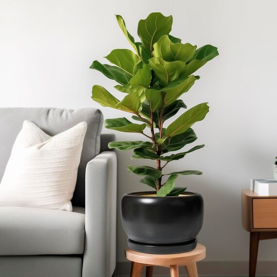 SQOWL Keramik-Blumentopf, 25,4 cm, Übertopf mit Ablaufloch und Untersetzer, moderner großer Pflanztopf für drinnen und draußen, dekorativer runder Übertopf, Schlafzimmerdekoration, Geschenke für