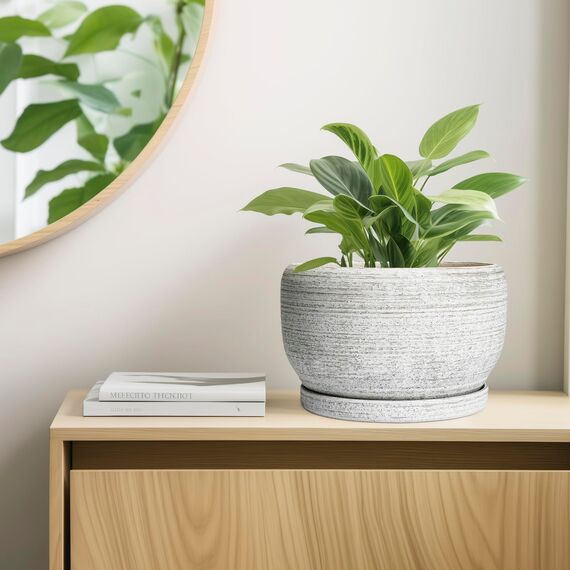 SQOWL Blumentopf aus Keramik, 25,4 cm, mit Ablaufloch und Untersetzer, dekorativer Blumentopf für Innen- und Außenbereich, runder Übertopf, gebürstetes Grau