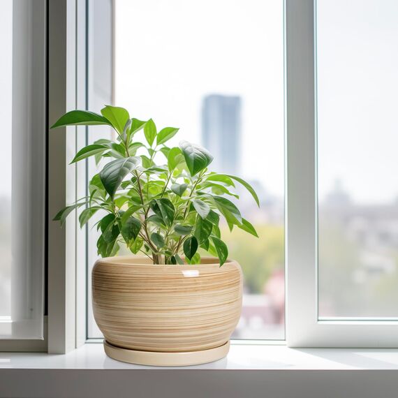 SQOWL Keramik-Blumentopf, 25,4 cm, großer Übertopf mit Ablaufloch und Untersetzer, runder moderner Übertopf für Zimmerpflanze, Outdoor, dekorativer Keramik-Blumentopf, Veranda-Dekor, Gartengeschenk