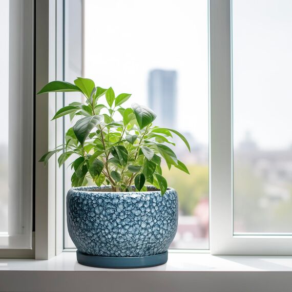 SQOWL Keramik-Pflanzgefäß – 25,4 cm Pflanztopf für den Innenbereich mit Ablaufloch und Untersetzer, dekorative Blumentöpfe für den Außenbereich, Keramik-Pflanztöpfe, großer runder Übertopf