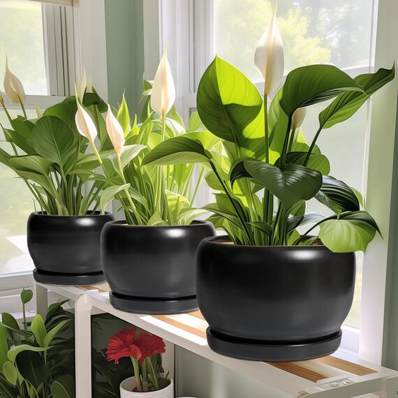 SQOWL Keramik-Blumentopf, 25,4 cm, Übertopf mit Ablaufloch und Untersetzer, moderner großer Pflanztopf für drinnen und draußen, dekorativer runder Übertopf, Schlafzimmerdekoration, Geschenke für