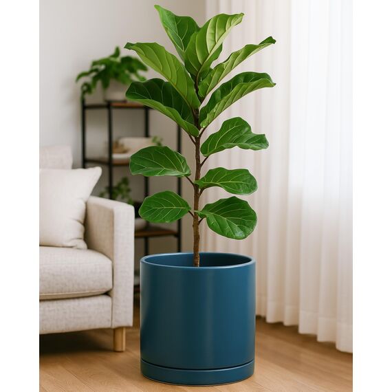 D'vine Dev 30,5 cm Keramik-Pflanztopf mit Ablaufloch und Untersetzer, Zylinder, runder Pflanztopf für den Innenbereich, Blaugrün, 94-O-F-9