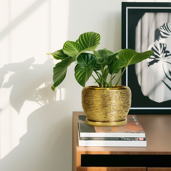 SQOWL Keramik-Pflanzgefäß – 15,2 cm Pflanztopf für drinnen und draußen, moderner runder Übertopf mit Ablaufloch und Pflanzen-Untersetzer, dekorativer Kleiner Blumentopf, Heimdekoration