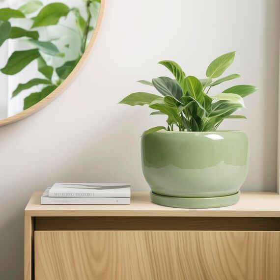 SQOWL 25,4 cm Pflanztopf - Keramik Pflanztopf mit Drainageloch und Untersetzer, dekorativer Pflanztopf für Innen- und Außenbereich, runder großer Übertopf Blumentopf, Grün