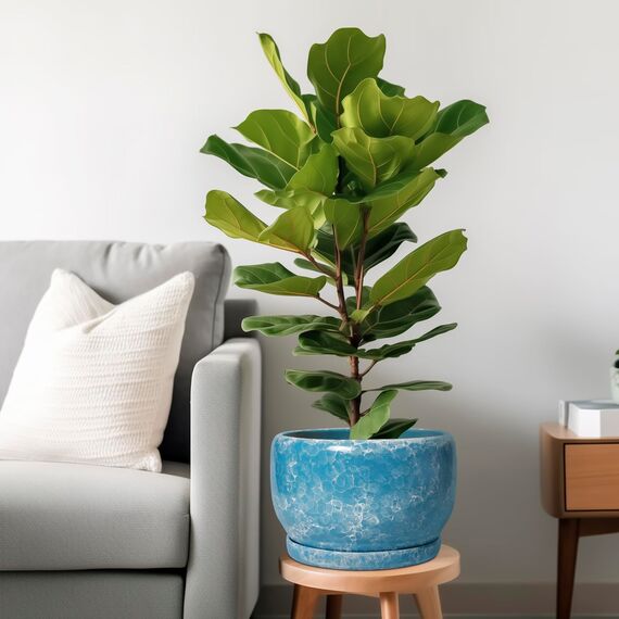 SQOWL Keramik-Pflanzgefäße – 25,4 cm Pflanztopf für den Innenbereich mit Ablaufloch und Untersetzer, dekorativer Blumentopf für den Außenbereich, runder großer Übertopf, Wohnzimmer, Büro