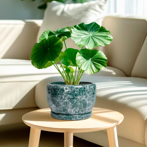 SQOWL 20,3 cm Pflanztopf – Keramik-Übertopf für Zimmerpflanzen, dekorativer Blumentopf mit Ablaufloch und Untersetzer, runder Übertopf für den Außenbereich, Raumterrassendekoration, Gartengeschenke