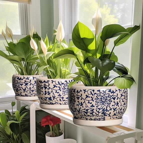 SQOWL 25,4 cm Blumentopf für den Innenbereich, Keramik-Pflanzgefäß mit Ablaufloch und Tablett, große Keramik-Blumentöpfe für den Außenbereich, Porzellan, dekorativer runder Übertopf, Raumdekoration