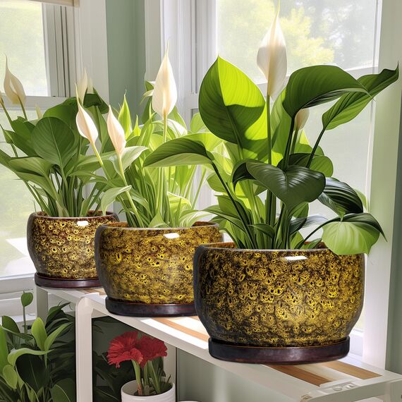 SQOWL 25,4 cm Pflanztopf – Keramik-Blumentöpfe mit Ablaufloch und Untersetzer, Keramik-Pflanzgefäß für Zimmerpflanzen im Freien, dekorativer runder großer Übertopf, Hausdekoration, Geschenke für