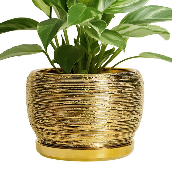 SQOWL Keramik-Blumentopf, 20,3 cm, für drinnen und draußen, runder Übertopf mit Ablaufloch und Untersetzer, dekorativer moderner Übertopf, Heimdekoration, Pflanzenliebhaber-Geschenke, Gold