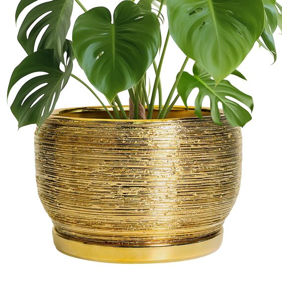 SQOWL Keramik-Übertopf für Zimmerpflanzen - 25,4 cm Pflanztopf mit Drainageloch und Untersetzer, moderner runder Übertopf für den Außenbereich, großer dekorativer Blumentopf, Wohnungsdekoration