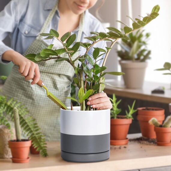 D'vine Dev 94-T-S-6 Runde Keramik-Pflanztöpfe mit Ablaufloch und Untersetzer, 7,6 cm, 10,2 cm und 15,2 cm, 3 Stück, Weiß gesprenkelt