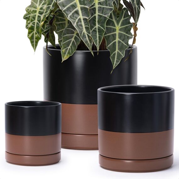 D'vine Dev 94-T-L-7 Runde Keramik-Pflanztöpfe mit Ablaufloch und Untersetzer, 15,2 cm, 20,3 cm und 25,4 cm, 3 Stück