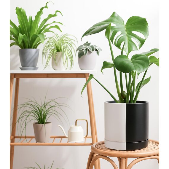 D'vine Dev 25,4 cm Keramik-Pflanztopf mit Ablaufloch und Untersetzer, Zylinder, runder Pflanztopf für den Innenbereich, geteilt, einfarbig, Schwarz und Weiß, 94-O-E-0