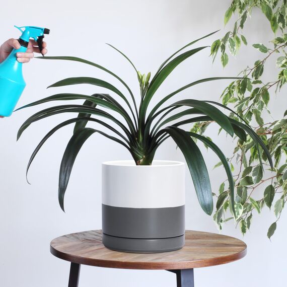 D'vine Dev 94-O-D-6 Keramik-Pflanztopf mit Ablaufloch und Untersetzer, zylinderförmig, rund, 20,3 cm, weiß gesprenkelt grau