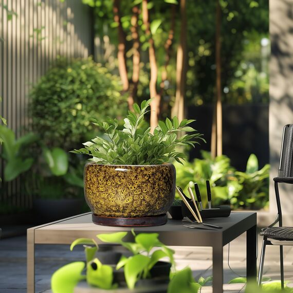 SQOWL 25,4 cm Pflanztopf – Keramik-Blumentöpfe mit Ablaufloch und Untersetzer, Keramik-Pflanzgefäß für Zimmerpflanzen im Freien, dekorativer runder großer Übertopf, Hausdekoration, Geschenke für