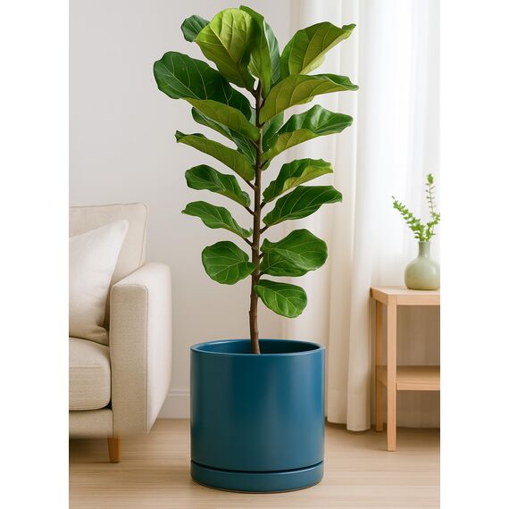 D'vine Dev 30,5 cm Keramik-Pflanztopf mit Ablaufloch und Untersetzer, Zylinder, runder Pflanztopf für den Innenbereich, Blaugrün, 94-O-F-9