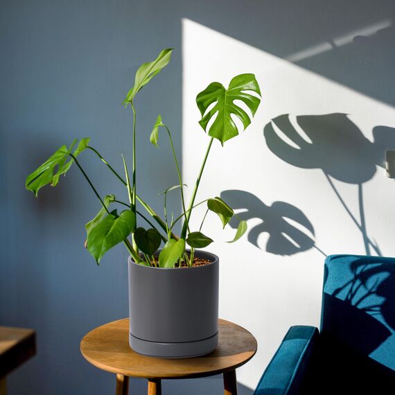 D'vine Dev 94-T-S-3 Runde Keramik-Übertöpfe mit Ablaufloch und Untersetzer, 7,6 cm, 10,2 cm und 15,2 cm, Grau, 3 Stück