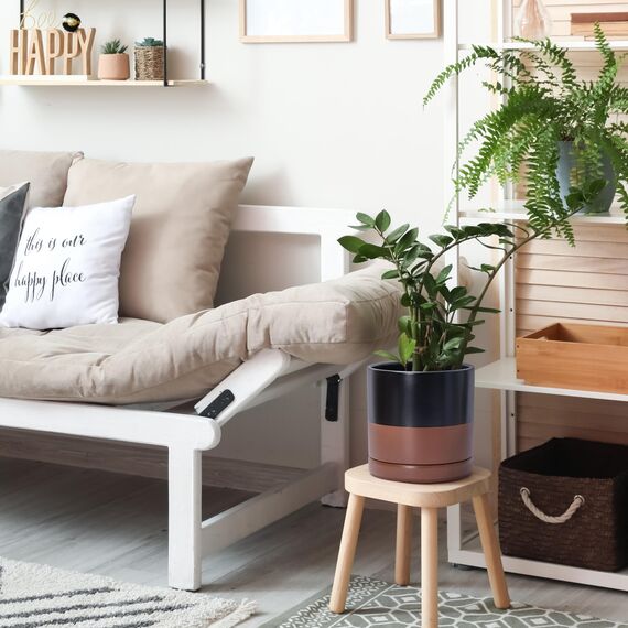 D'vine Dev 94-T-L-7 Runde Keramik-Pflanztöpfe mit Ablaufloch und Untersetzer, 15,2 cm, 20,3 cm und 25,4 cm, 3 Stück