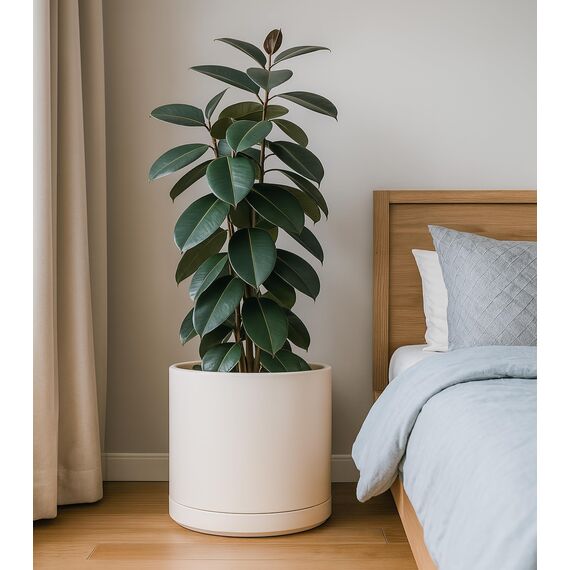 D'vine Dev 94-O-G-8 Keramik-Pflanztopf mit Ablaufloch und Untersetzer, Zylinder, runder Pflanztopf für den Innenbereich, Haferflocken, 35,6 cm