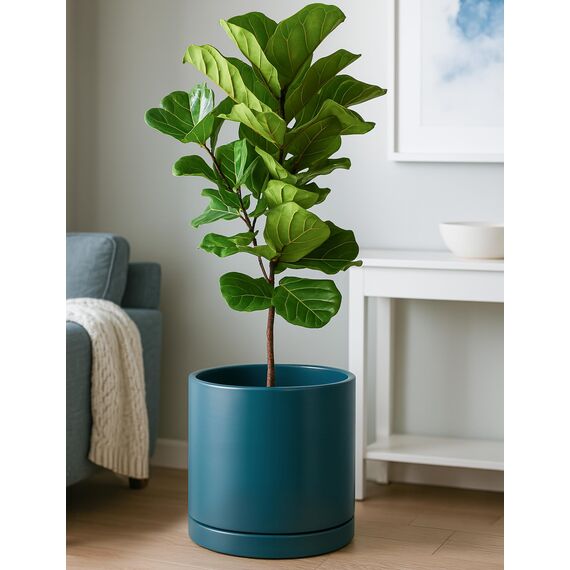 D'vine Dev 30,5 cm Keramik-Pflanztopf mit Ablaufloch und Untersetzer, Zylinder, runder Pflanztopf für den Innenbereich, Blaugrün, 94-O-F-9
