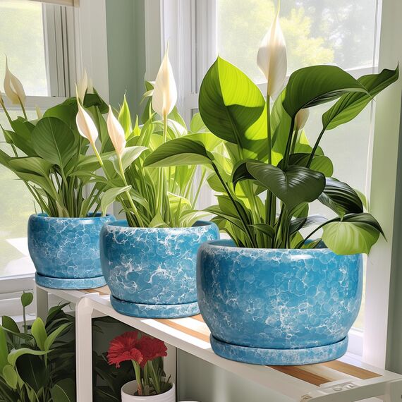 SQOWL Keramik-Pflanzgefäße – 25,4 cm Pflanztopf für den Innenbereich mit Ablaufloch und Untersetzer, dekorativer Blumentopf für den Außenbereich, runder großer Übertopf, Wohnzimmer, Büro