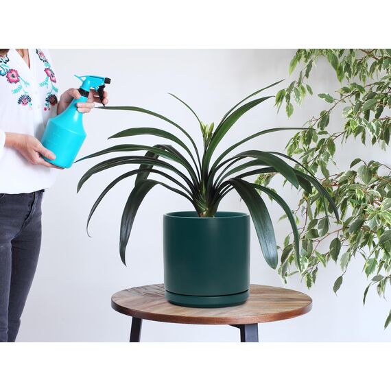 D'vine Dev 94-O-D-9 Keramik-Blumentopf mit Ablaufloch und Untersetzer, zylinderförmig, runder Blumentopf für den Innenbereich, Blaugrün, 20,3 cm