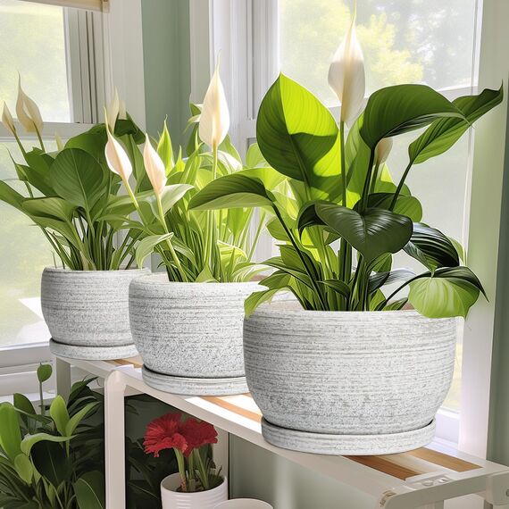 SQOWL Keramik-Übertopf – 20,3 cm großer Blumentopf für Innen- und Außenbereich, runder Keramik-Pflanztopf mit Ablaufloch und Untersetzer, gebürstetes Grau