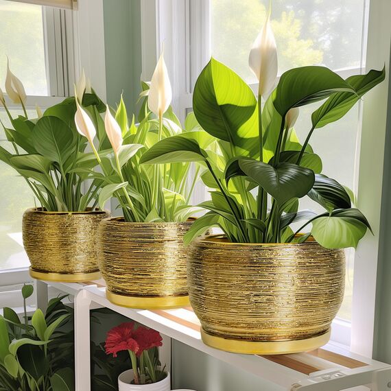 SQOWL Keramik-Übertopf für Zimmerpflanzen - 25,4 cm Pflanztopf mit Drainageloch und Untersetzer, moderner runder Übertopf für den Außenbereich, großer dekorativer Blumentopf, Wohnungsdekoration