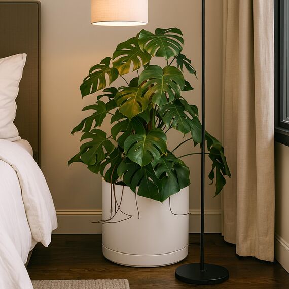 D'vine Dev 94-O-G-8 Keramik-Pflanztopf mit Ablaufloch und Untersetzer, Zylinder, runder Pflanztopf für den Innenbereich, Haferflocken, 35,6 cm