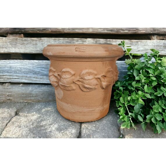 Teramico Blumentopf Pflanzgefäß Übertopf Terracotta FROSTFEST QUALITÄTSWARE Conca Limoni (30cm)
