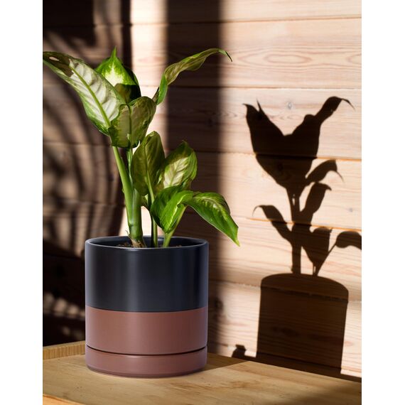 D'vine Dev 94-T-S-7 Runde Keramik-Pflanztöpfe mit Ablaufloch und Untersetzer, 7,6 cm, 10,2 cm und 15,2 cm, 3 Stück