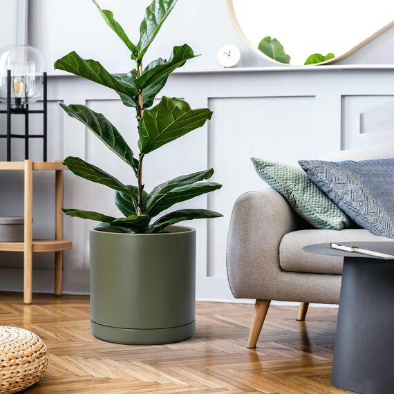 D'vine Dev 30,5 cm Keramik-Pflanztopf mit Ablaufloch und Untersetzer, Zylinder, runder Pflanztopf für den Innenbereich, Olivgrün, 94-O-F-J