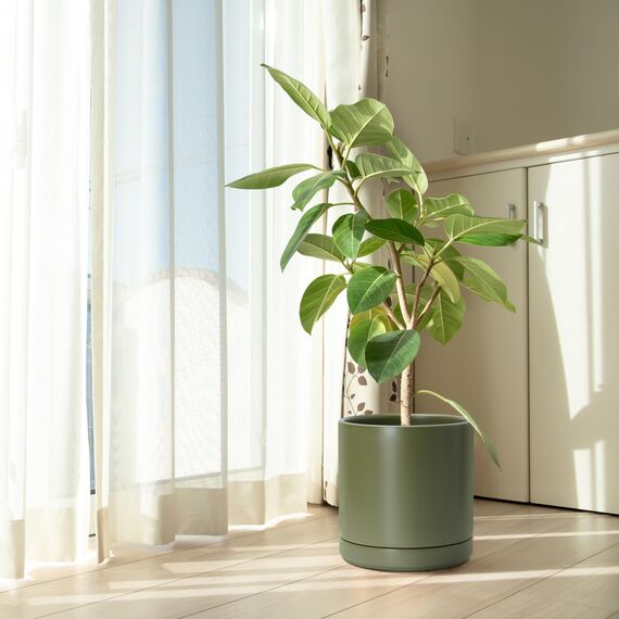 D'vine Dev 25,4 cm Keramik-Pflanztopf mit Ablaufloch und Untersetzer, Zylinder, runder Pflanztopf für den Innenbereich, Olivgrün, 94-O-E-J