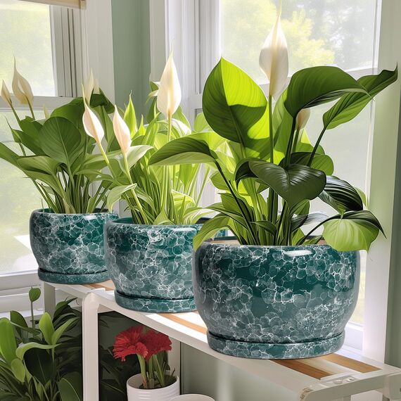 SQOWL 20,3 cm Pflanztopf – Keramik-Übertopf für Zimmerpflanzen, dekorativer Blumentopf mit Ablaufloch und Untersetzer, runder Übertopf für den Außenbereich, Raumterrassendekoration, Gartengeschenke