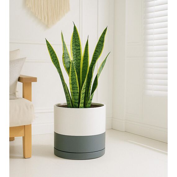 D'vine Dev 30,5 cm Keramik-Pflanztopf mit Ablaufloch und Untersetzer, zylinderförmig, runder Pflanztopf für den Innenbereich, weiß/gesprenkeltes Grau, 94-O-F-6