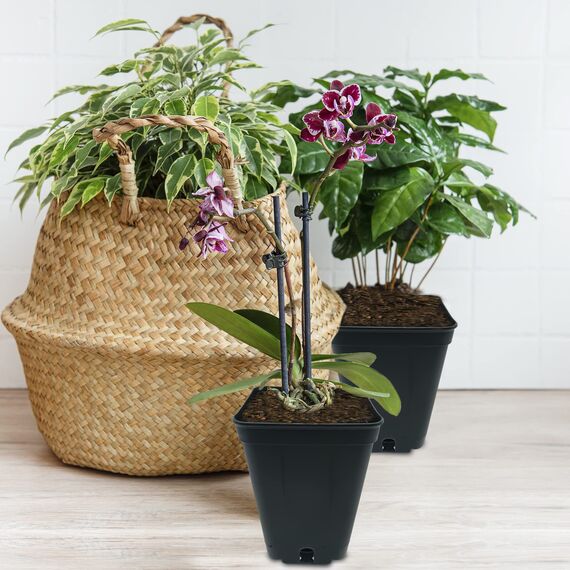 Murgiplast Quadratische Pflanztöpfe aus Kunststoff für den Innenanbau, Pflanzgefäße für den Anbau, Außenbehälter für Pflanzen und Blumen, 1 Liter, 10 x 10 x 14 cm, 15 Stück.