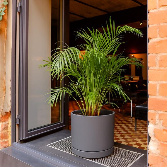 D'vine Dev 35,6 cm Keramik-Pflanztopf mit Ablaufloch und Untersetzer, Zylinder, runder Pflanztopf für den Innenbereich, gesprenkelt, grau, 94-O-G-3