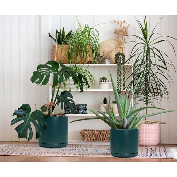 D'vine Dev 94-T-L-9 Runde Keramik-Pflanztöpfe mit Ablaufloch und Untersetzer, 15,2 cm, 20,3 cm und 25,4 cm, 3 Stück