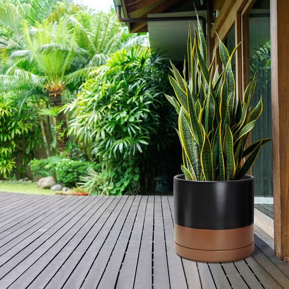 D'vine Dev 94-O-G-7 Keramik-Blumentopf mit Ablaufloch und Untersetzer, zylinderförmig, runder Blumentopf für den Innenbereich, Schwarz/Hellbraun gesprenkelt, 35,6 cm