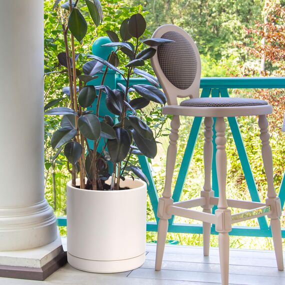 D'vine Dev 94-O-E-8 Keramik-Pflanztopf mit Ablaufloch und Untersetzer, zylinderförmig, rund, für den Innenbereich, Haferflocken, 25,4 cm