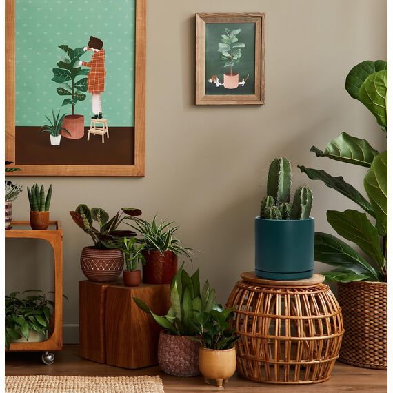 D'vine Dev 94-O-D-9 Keramik-Blumentopf mit Ablaufloch und Untersetzer, zylinderförmig, runder Blumentopf für den Innenbereich, Blaugrün, 20,3 cm