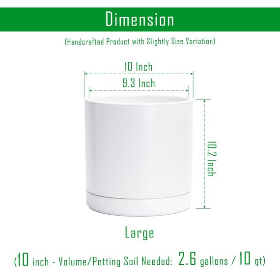 D'vine Dev 94-O-E-1 Keramik-Blumentopf mit Ablaufloch und Untersetzer, zylinderförmig, runder Blumentopf für den Innenbereich, Weiß, 25,4 cm