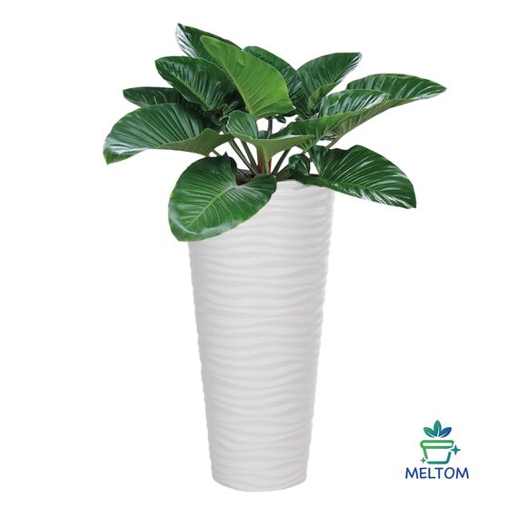 MELTOM Blumentopf Welle Slim Blumenkübel Rund Einsatz Pflanzgefäß 3D Effekt in Weiß Set 3: XL XXL 3XL