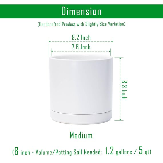 D'vine Dev 94-O-D-1 Keramik-Blumentopf mit Ablaufloch und Untersetzer, zylinderförmig, runder Blumentopf für den Innenbereich, Weiß, 20,3 cm