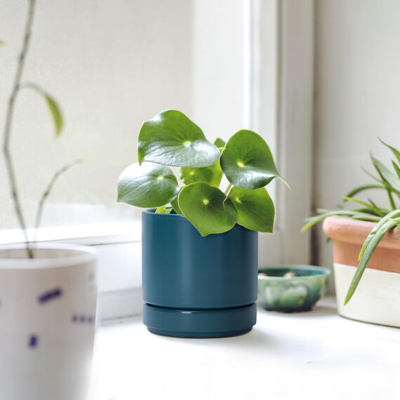 D'vine Dev 94-T-S-9 Runde Keramik-Pflanztöpfe mit Ablaufloch und Untersetzer, 7,6 cm, 10,2 cm und 15,2 cm, 3 Stück