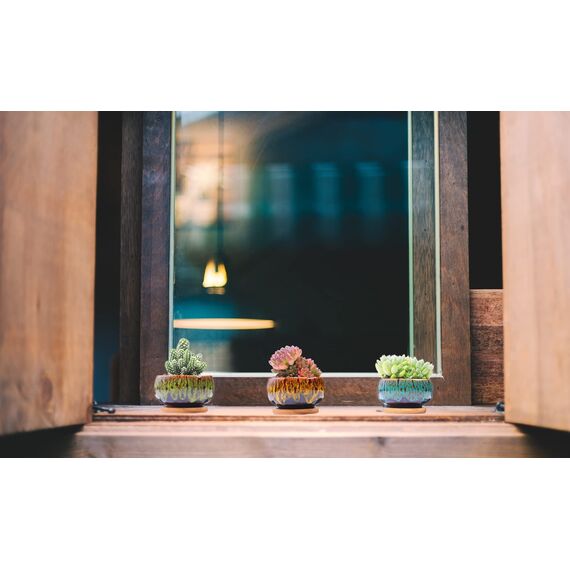 LAMDAWN Niedliche Keramik-Sukkulenten-Gartentöpfe, Übertopf mit Drainage und befestigtem Untersetzer, 5er-Set – Pflanzen Nicht im Lieferumfang enthalten (rund)