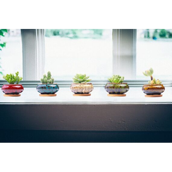 LamDawn Sukkulentententöpfe aus Keramik, mit Drainage und Untersetzer, 5 Stück, Pflanzen Nicht im Lieferumfang enthalten (Brenner Nicht im Lieferumfang enthalten)